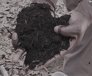 Hands holding soil showing mission in the time COVID-19